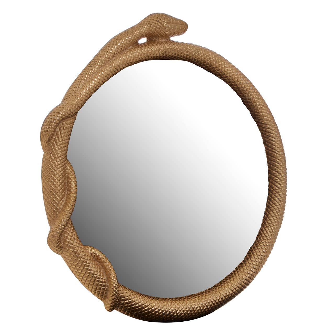 Serpent Wall Mirror